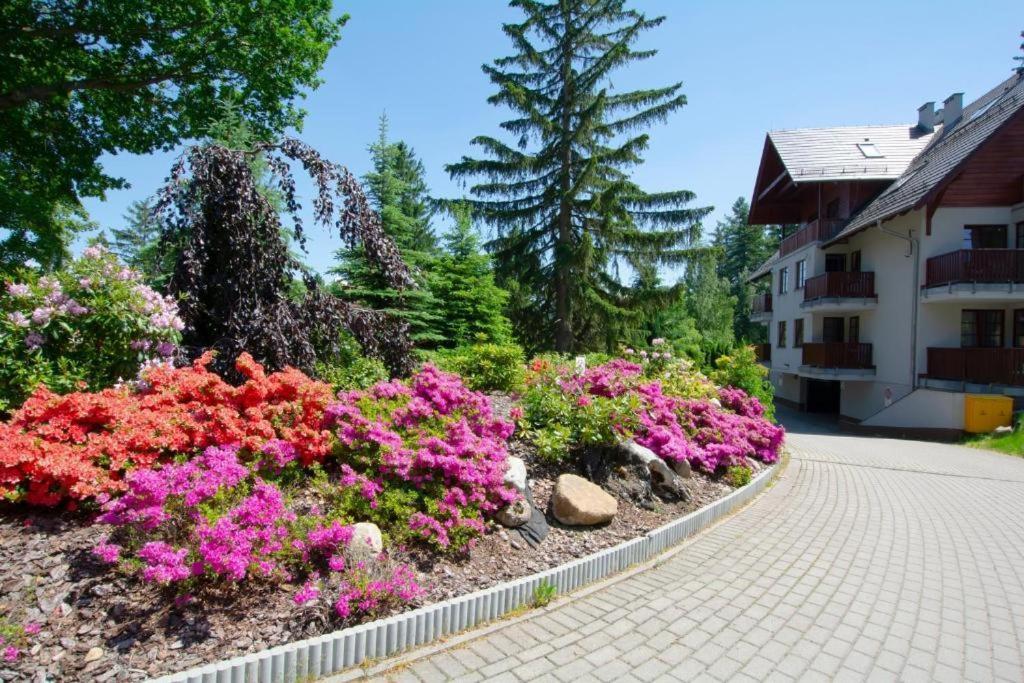 Apartament Polana-Karpacz Εξωτερικό φωτογραφία